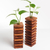 Conjunto de Vasos Slices na internet