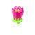 Vela Flor Musical