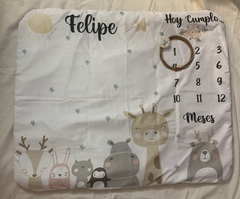 Imagen de Mantas de Crecimiento Personalizadas