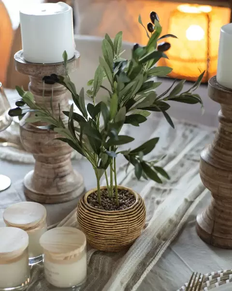 PLANTA OLIVOS - comprar online