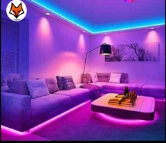 TIRA LED 5050 RGB - comprar online