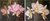 Imagem do banner rotativo 3