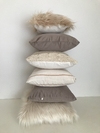 Pack Canela x 6 - comprar online