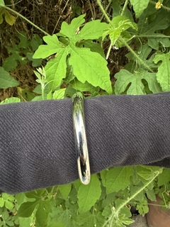 Bracelete Argola Aço