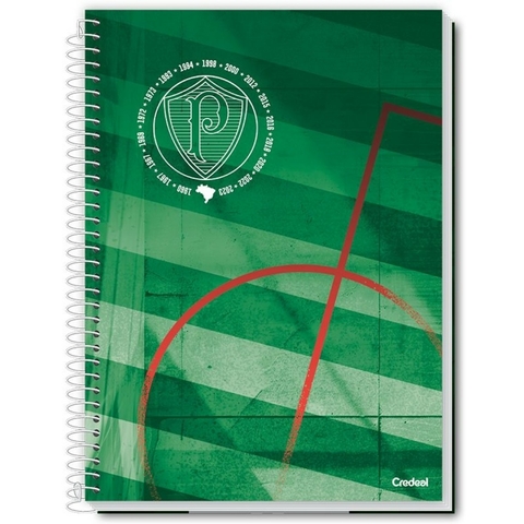 Caderno 1 matéria Palmeiras 1914 Maior Campeão