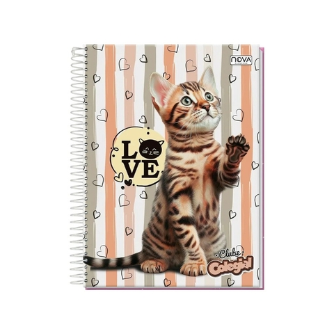 Caderno 10 matérias 200 folhas