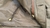 Image of Chaquetón Min / Min jacket with detachable collar
