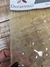 Imagen de Alfombra Antideslizante Glove. 64x34 Transparente