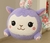 Peluche