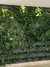 Jardis - Módulo para Jardim Vertical Cerâmico na internet
