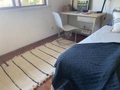 Alfombra Raya Fina