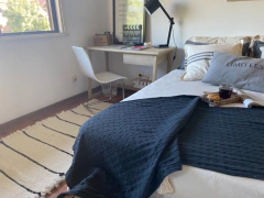 Alfombra Raya Fina en internet