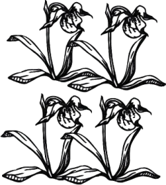 Skinny Scarf Memoria Botánica en internet