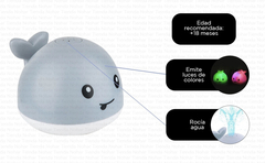 Spray whale - comprar online