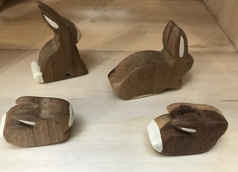 familia conejos