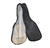 Guitarra Criolla Clasica Tyma C01 Natural Mate Incluye Funda - Kairon Music Srl