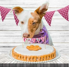 TORTA WUFF