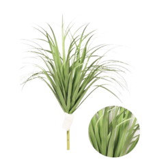 FOLLAJE VERDE