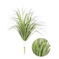 FOLLAJE VERDE