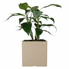 MACETA ROT CUBO 40x40 - comprar online