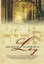 MAS ALLA DE LA LETRA DE LA LEY - comprar online