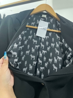 Blazer AURORA en internet