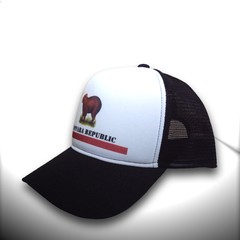 BONÉ CAPIVARA REPUBLIC - comprar online
