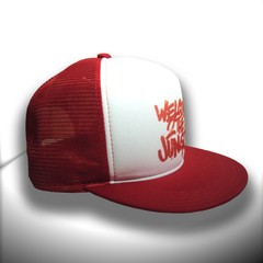 BONÉ GUNS N ROSES THE JUNGLE ABA RETA - comprar online
