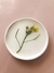 Mini platito Herbario - comprar online