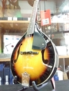 Stagg M20 Mandolina Bluegrass Con Tapa De Tilo Edenlp - EdenLP Instrumentos Musicales