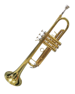 Stagg Wstr115 Trompeta Bb Cuerpo Laton C/estuche Soft