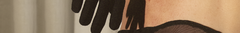 Banner de la categoría ACCESORIOS