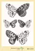 Lamina Foil Stamping Cod. FS053 - comprar online
