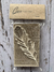 Sello Cod. 504 Pluma