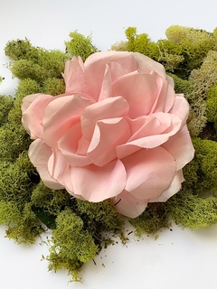 Hebilla flor rosa VERBENA - Gabriella Capucci