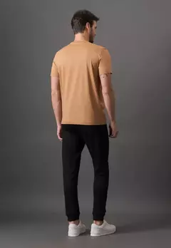Camiseta MC CK Masc Stripe Gel Havana na internet