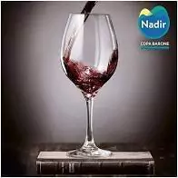 Copa de Degustación Vidrio Barone 490ml - BZR Tiribelli