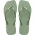 Sandálias Havaianas Slim Square Smoke Green 37/38