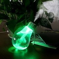 Bulbo Umidificador de ar com 7 cores automáticas portátil de 400 ml - comprar online