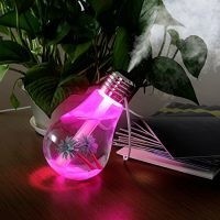 Bulbo Umidificador de ar com 7 cores automáticas portátil de 400 ml - CellCenter
