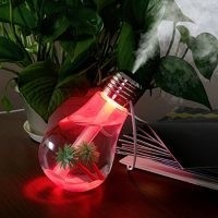 Bulbo Umidificador de ar com 7 cores automáticas portátil de 400 ml