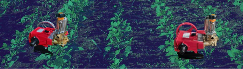 Carrossel 1