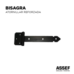 Bisagra Atorniallar 250 Reforzada