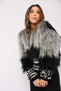 Bomber Zebra