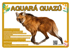 Animales autóctonos Ecorregiones tamaño A3