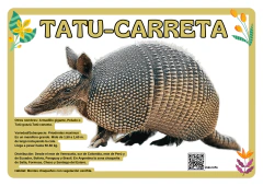 Animales autóctonos Ecorregiones tamaño A3 - tienda online