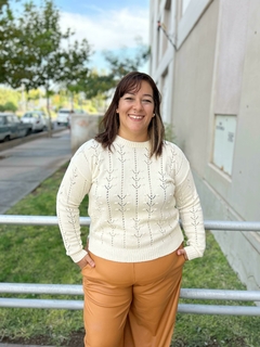 Sweater Susi en internet
