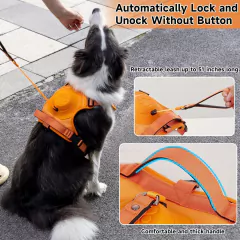 ARNES PARA PERRO SYM068 | SYM069 | SYM070 en internet