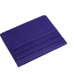 Tarjetero "Pierre" Blue