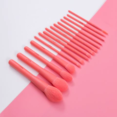 Set 15 Brochas Premium Para Ojos Y Rostro Sintéticas Beili - MUS